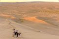 5889  Gobi Khongoryn Els zandduinen