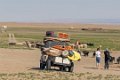 5944  Gobi onderweg