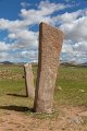 6462  Ushigiin uver Deerstone site