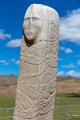 6463  Ushigiin uver Deerstone site