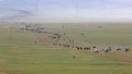 7028  Naadam paardenrace