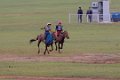 7031  Naadam paardenrace