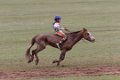 7072  Naadam paardenrace