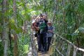 7592 Sungai Wein NP Jungle