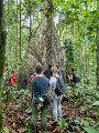 0041 Kutai NP Jungle