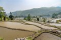 1 Yuanyang Rijstterrassen-26