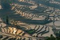 9212 Yuanyang Rijstterrassen