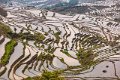 4 Yuanyang