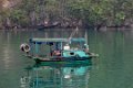0080 Halong Bay Boottocht