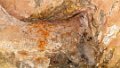 2097 Bhimbetka Rock Shelters