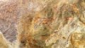 2098 Bhimbetka Rock Shelters