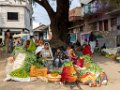 2206 Nalcha Markt