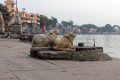 2174 Ujjain Ram Ghat