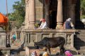 2432 Maheshwar Meditatie