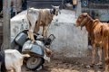 2840 Hyderabad Straatbeeld