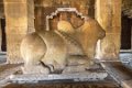 2961 Aihole Tempels