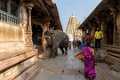 3187 Hampi Virupaksha Tempel