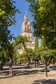 4654 Cordoba Mezquita toren