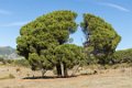 4898 Grazalema park Wandeling