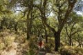4917 Grazalema park Wandeling
