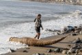 6256 Huanchaco Totora bootjes