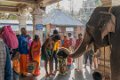6822 Trichy Amma Mandapam Ghat