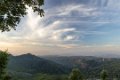 7087 Munnar Theeplantages