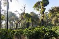 7615 Madikeri Wandeling