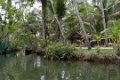 2174 Backwaters Mangrovetocht