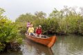 2180 Backwaters Mangrovetocht