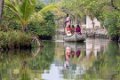 2195 Backwaters Mangrovetocht