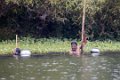 8173 Backwaters Leven op het water