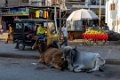 8991 Bhavnagar Straatbeeld