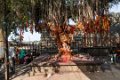 9498 Champaner Pavagadt tempels