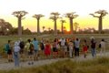 0207 Allee des Baobab Zonsondergang
