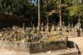 1466 Chang Mai Wat Umong