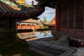 5147 Shunan Zhunai Deagon Tail Tempel