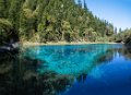 Jiuzhaigou Colorful  Pond