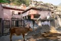6618 Lohagarhi Heilig bad