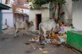 6691 Narwalgarh Haveli