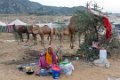 7112 Pushkar Markt