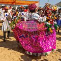 7176 Pushkar Festival