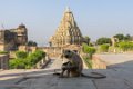 7833 Chittogarh Samdeshwar tempel