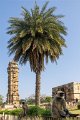 7839 Chittogarh_