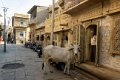 04 Jaisalmer