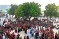8310 Drang Drang Mela