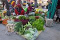 9019 Diu-Vanakbara Markt