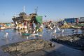 9024 Diu-Vanakbara Visserijhaven