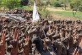 9413 Poshina Paarden