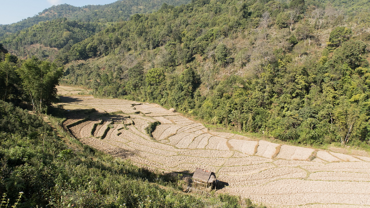 0642_Trekking.jpg